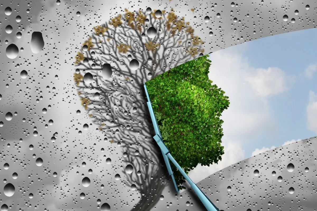 A new technology developed at the Salk Institute has revealed a new pathway in the development of anti-aging treatments