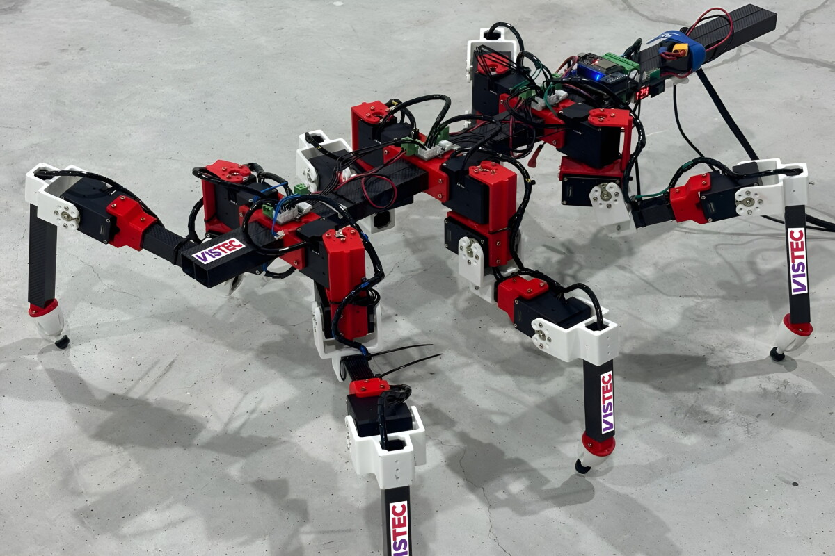 Teaching a hexapedal robot to walk like a stick insect