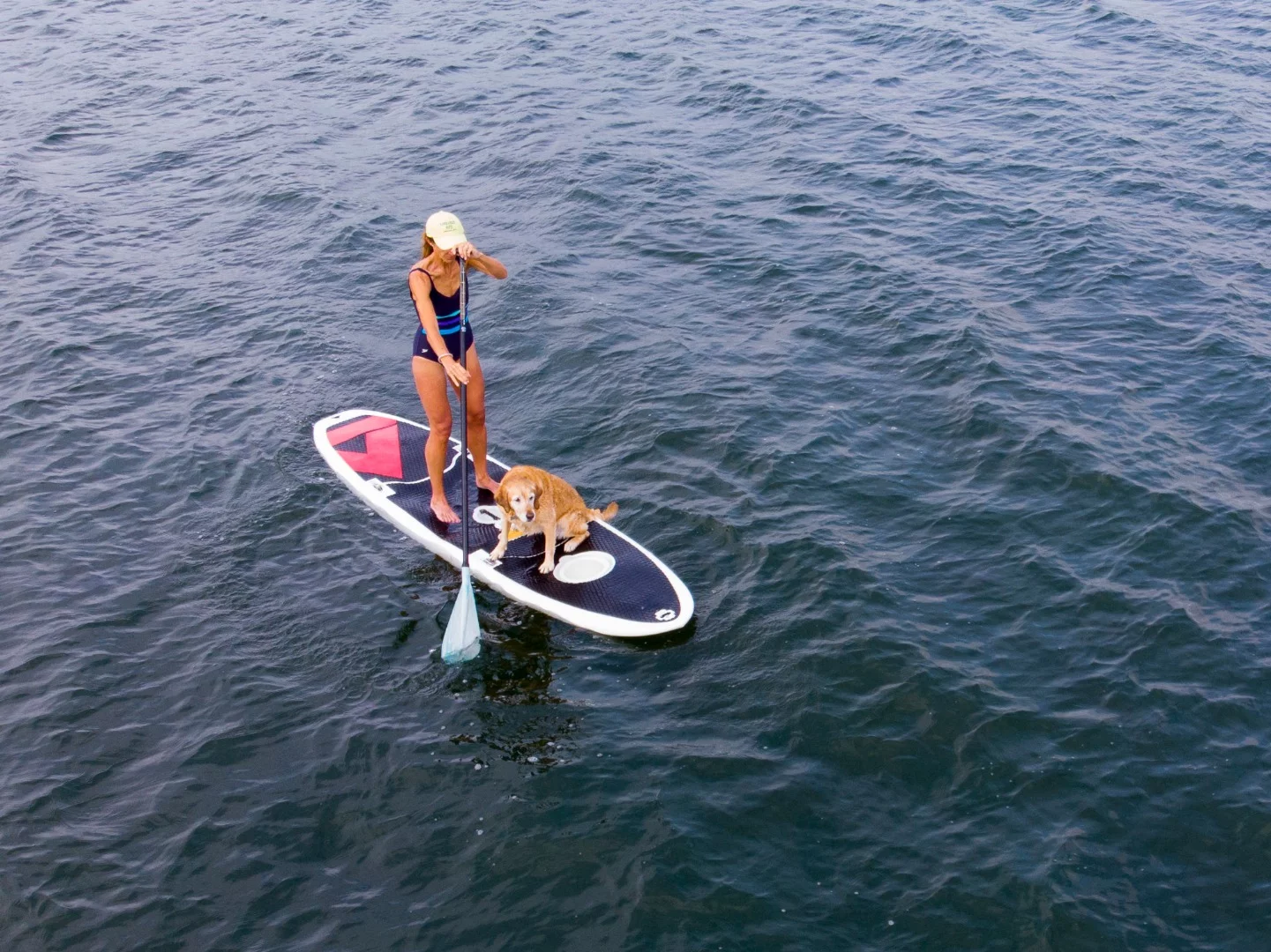 Its makers claim that the Easy Eddy can be assembled in under a minute