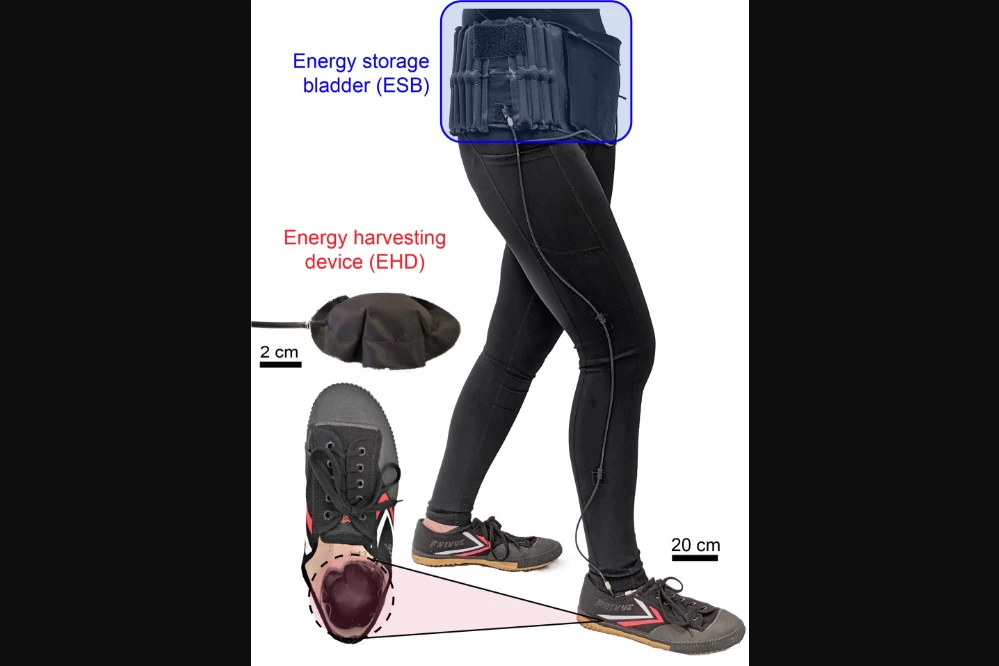 A labelled photo showing the various components of the system