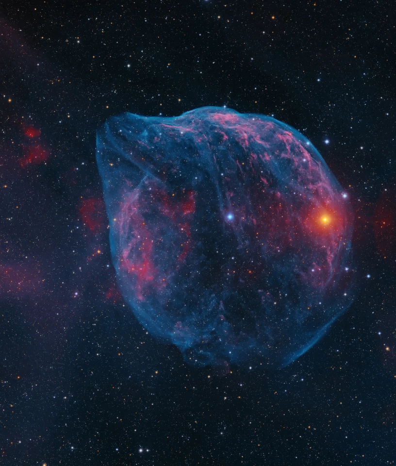 Astronomy Photographer of the Year. Runner Up - Stars and Nebulae. The Dolphin Jumping out of an Ocean of Gas. This target is officially known as Sh2-308, but the photographer has always enjoyed calling it the Dolphin Nebula.