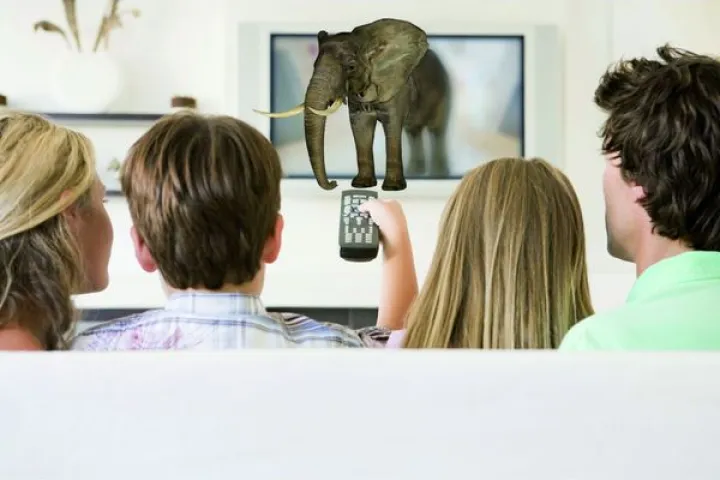 New technology will provide living-room friendly viewing on your existing 3D Blu-rays (Photo: IFA)