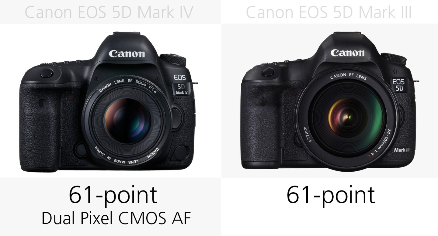 Autofocus (Canon EOS 5D Mark IV and 5D Mark III)