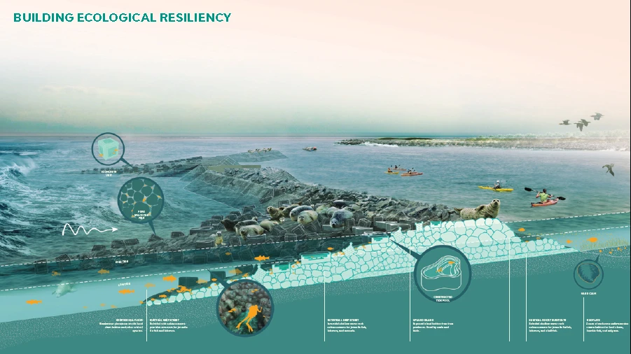 The Living Breakwaters proposal features a particularly environmentally-minded approach to flood defences (Photo: Rebuild by Design)