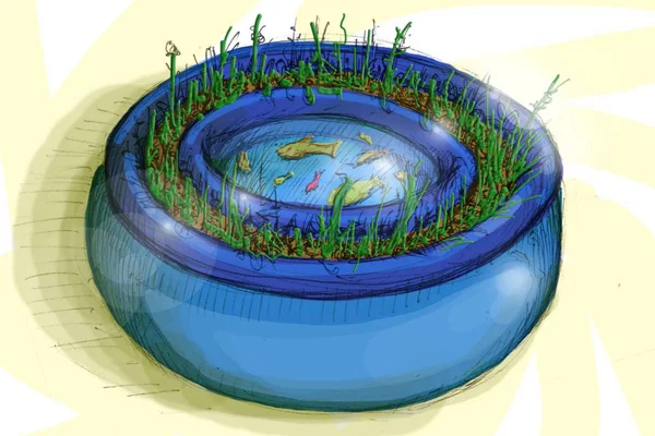 The Oasis Aquaponic Food Production System depends on a symbiotic relationship between plants and fish