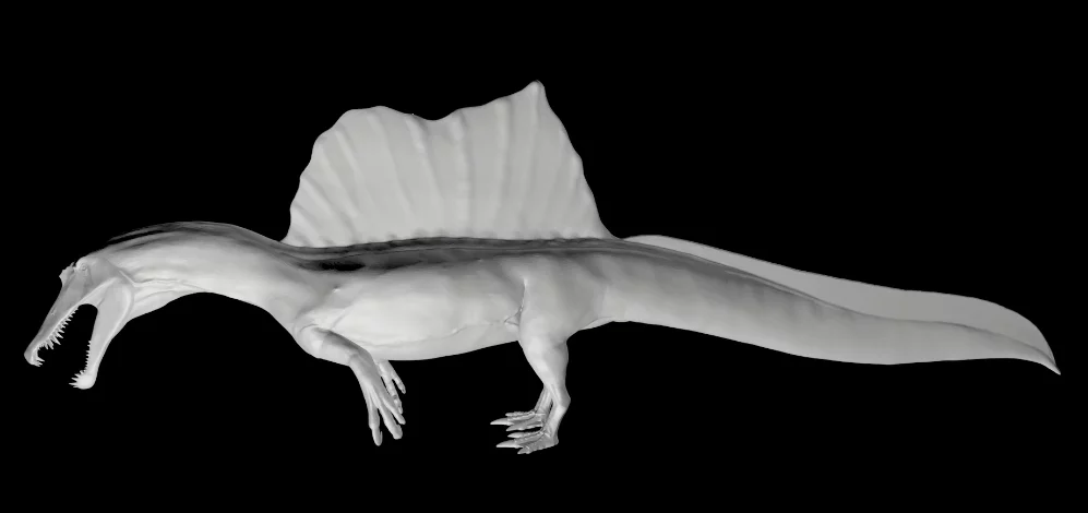 A render of the Spinosaurus, complete with the newly discovered paddle-shaped tail that indicates it was aquatic