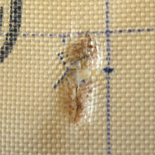 The front of Kevlar fabric after being stabbed with a knife