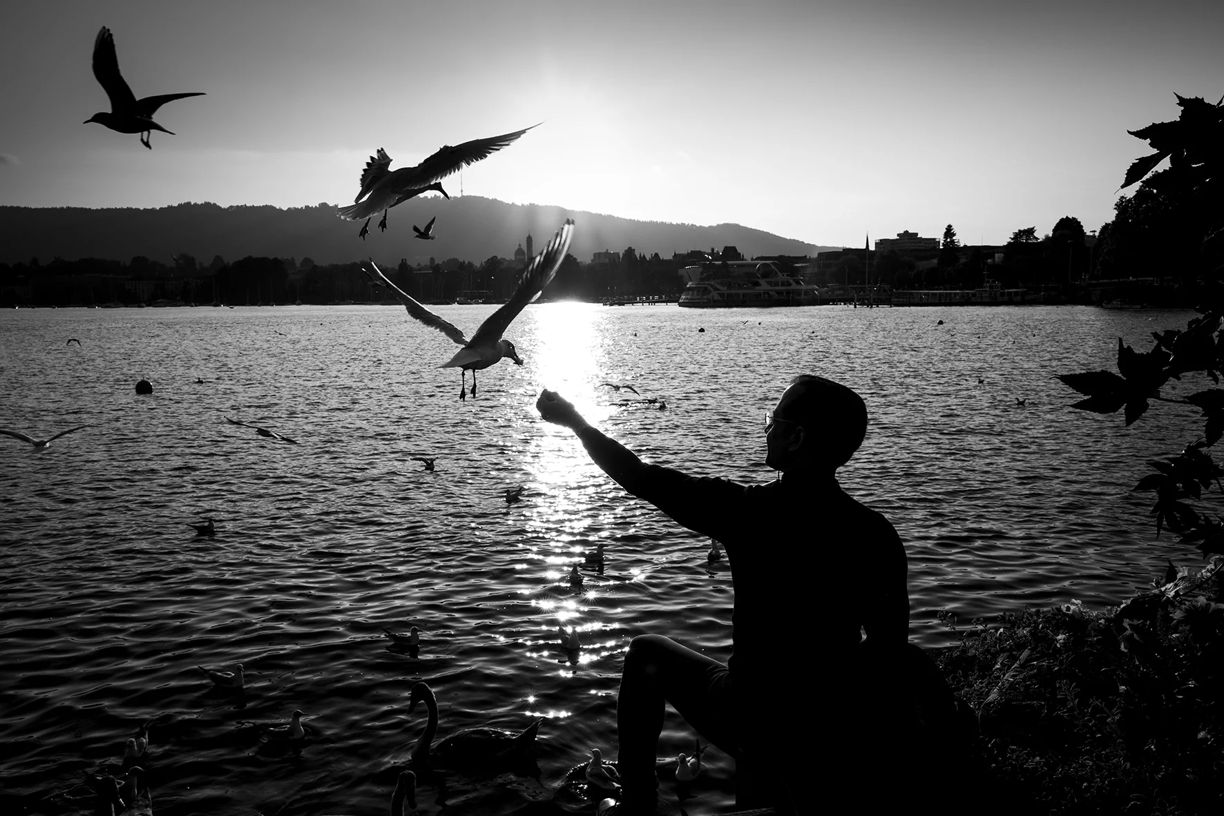 Sample scene captured using the Q2 Monochrom