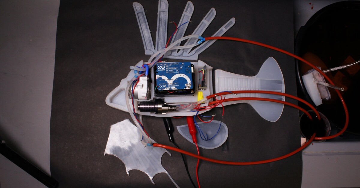 The internal components of the soft-bodied robotic fish