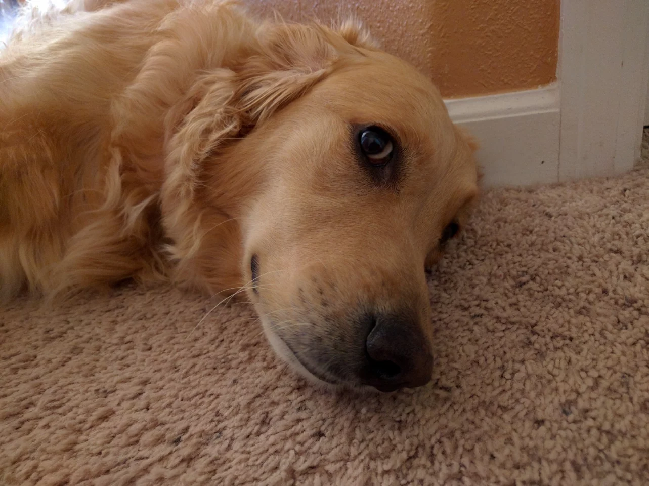 Indoor, medium-lit camera sample (Nexus 6P)