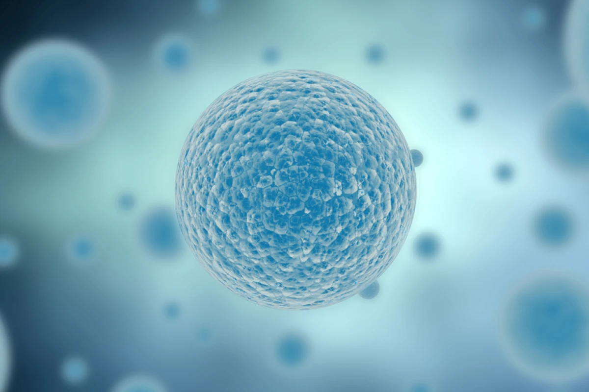 Chemists have created artificial self-assembling cell membranes that could help shed light on the origins of life (Image: Image: Shutterstock)