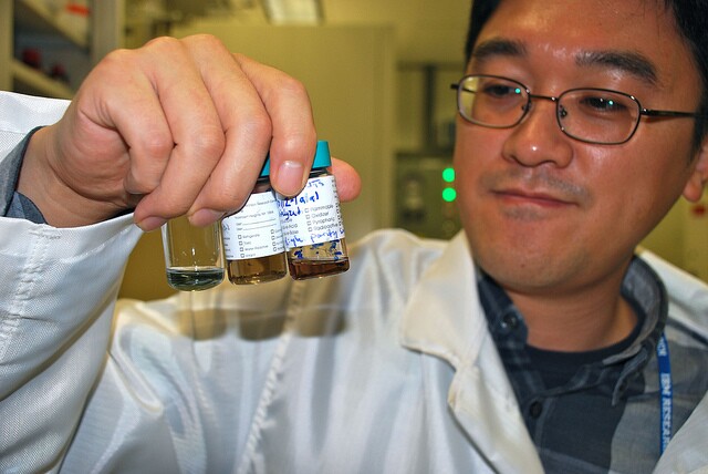 IBM researcher Hongsik Park observes different solutions of carbon nanotubes