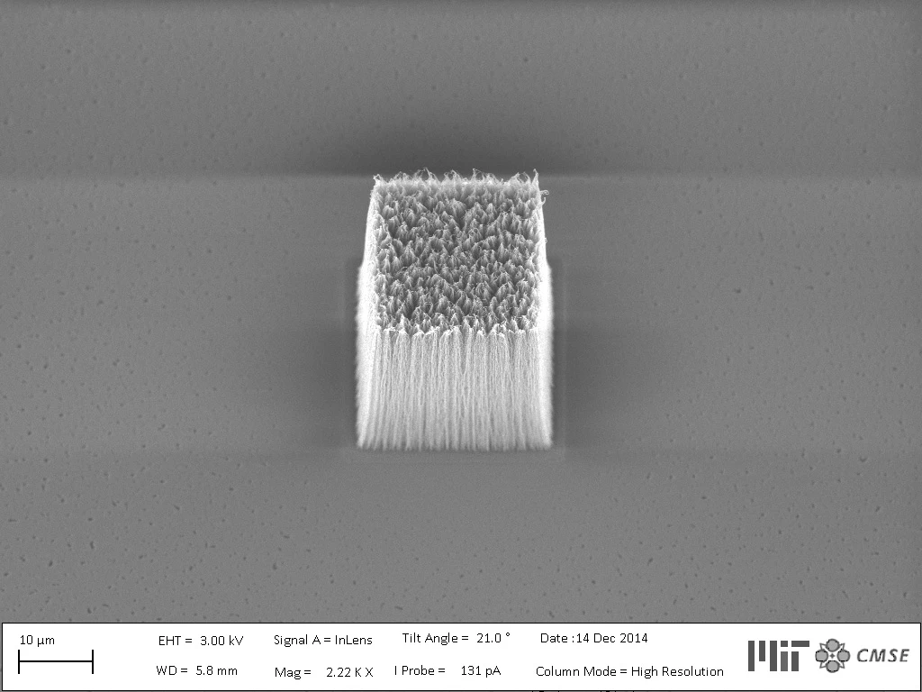 Carbon nanotubes were used to create a precise, high-res stamp