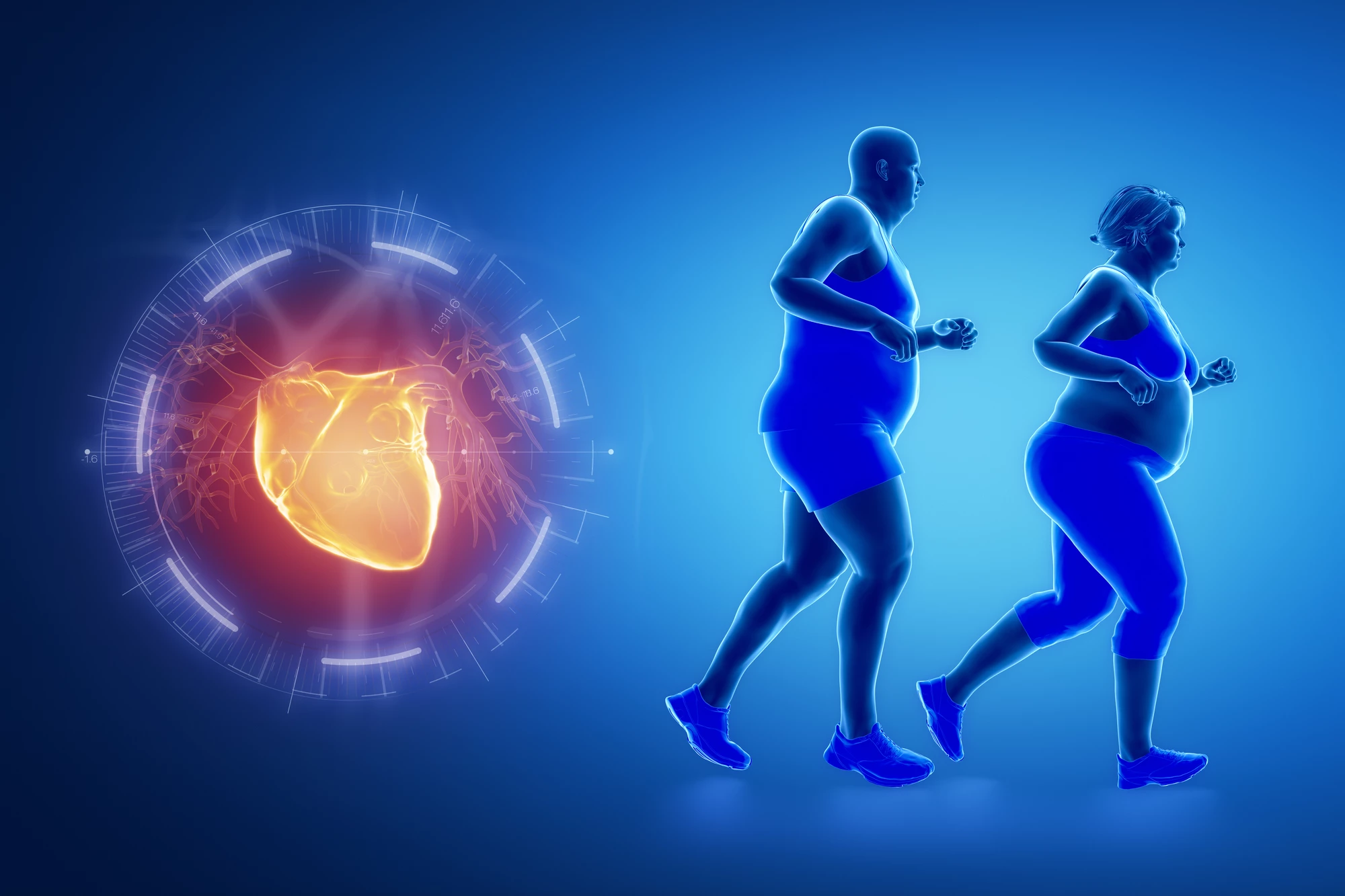 Temporarily activating a signaling pathway has the potential to improve metabolic health