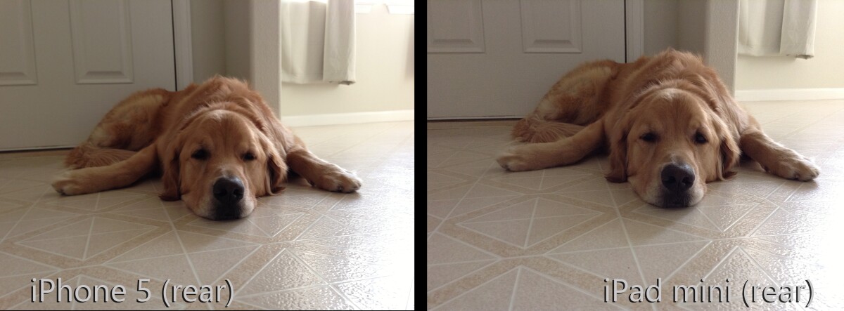 If you zoomed in close, you'd see that the iPhone 5's shot looks much sharper