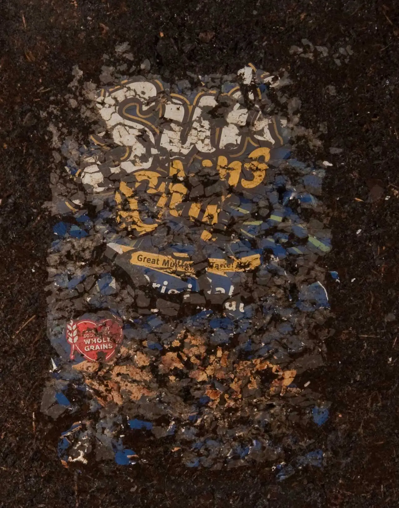 One of the new biodegradable SunChips bags, after spending 12 weeks in a compost heap