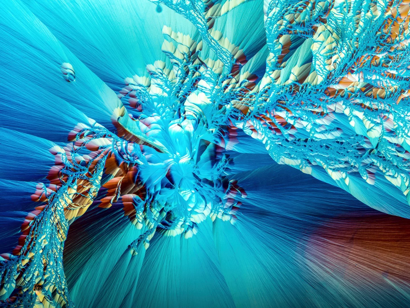 L-Glutamine and Beta alanine