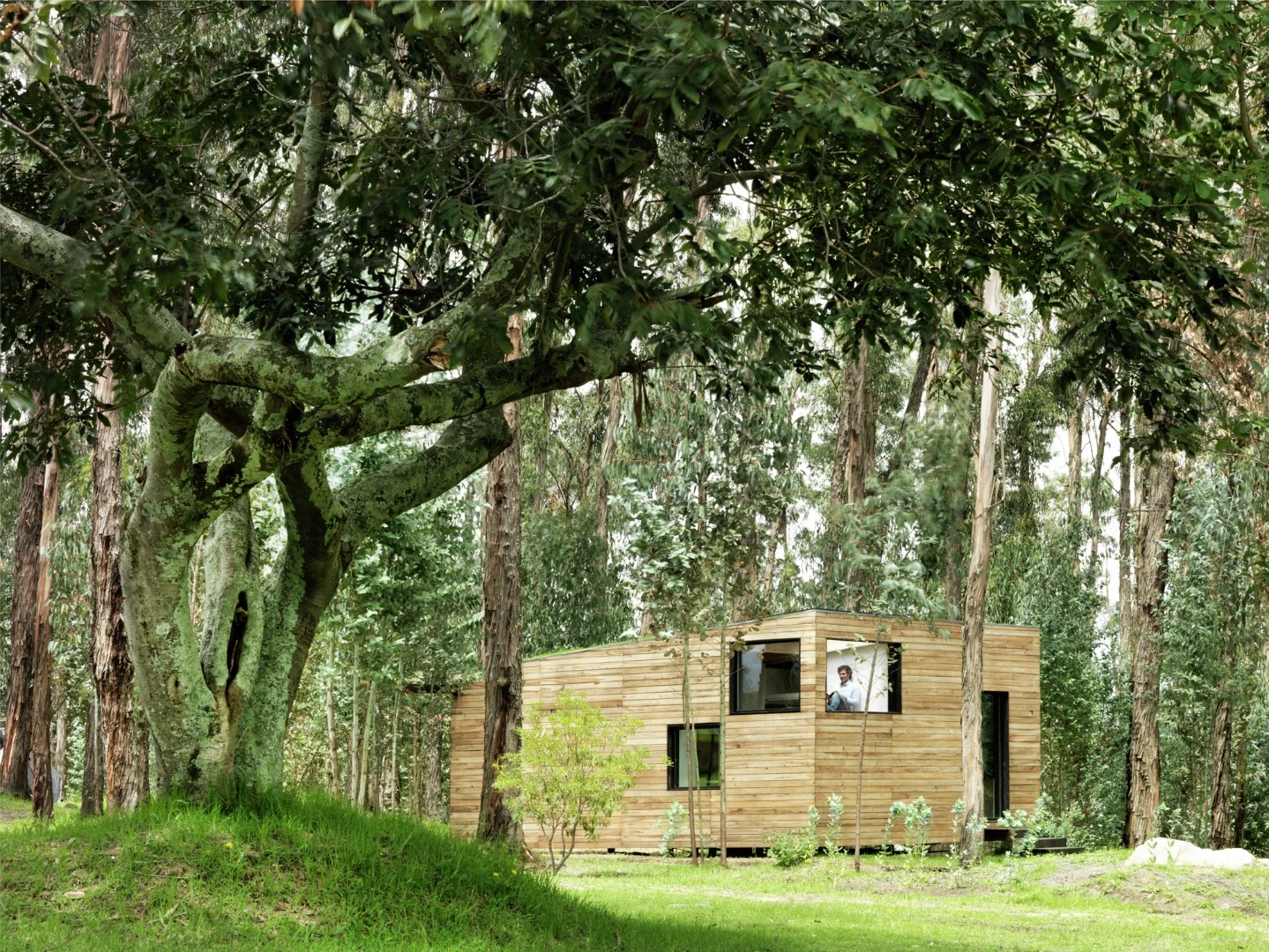 The aim was to create an energy-efficient housing prototype that combines natural materials with traditional building methods
