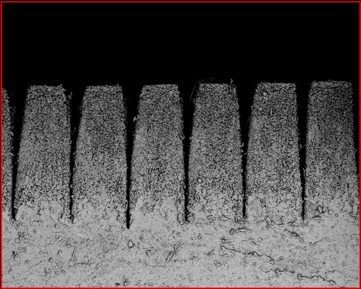 A cross-sectional microscope image of the gecko-inspired material
