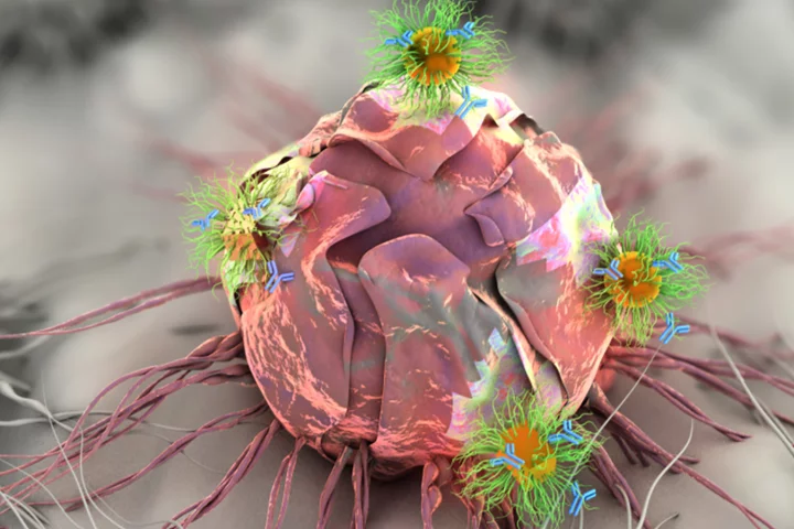 The patch contains specially-designed nanorods and nanospheres, seen here attacking the tumor cells