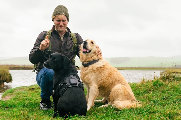 The tracker on the black labrador (left) provides satellite tracking even beyond the reaches of cell signals