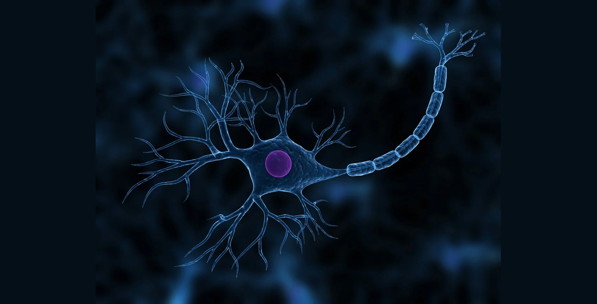 U.S. researchers have developed a nonsurgical technique to repair severed nerves in minutes instead of months (Image: Shutterstock)
