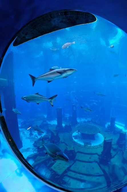 Atlantis Dubai