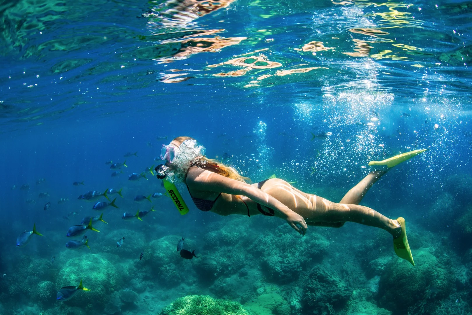 Scorkl has three days remaining on its Kickstarter campaign