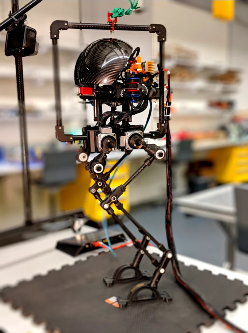 LEONARDO the robot can walk and fly