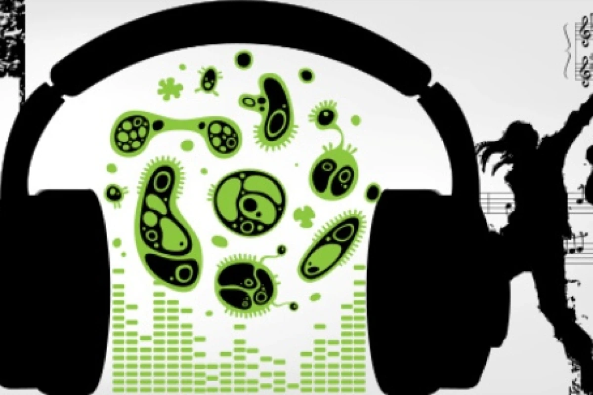 Music sounds better with bacteria: a scientist has swapped graphs for music in order to represent data on microbes