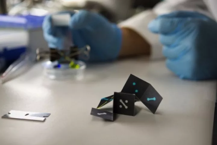 The simple, inexpensive, folded-paper-based oPAD could detect diseases in body fluid samples