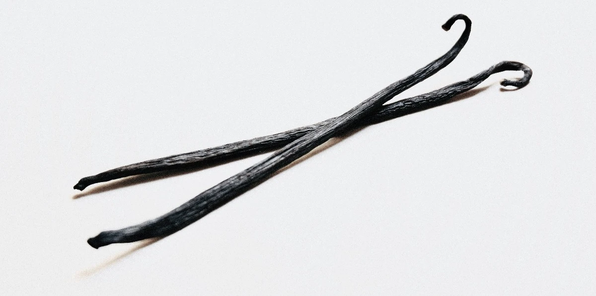 Vanillin is derived from cured vanilla pods