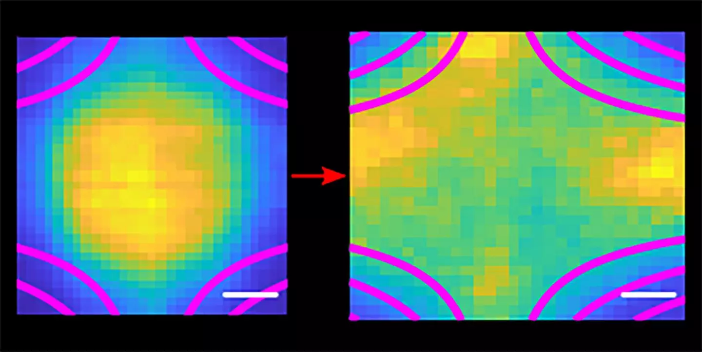 Images show the dissipating clouds of ultracold plasma, gone in just a fraction of a second