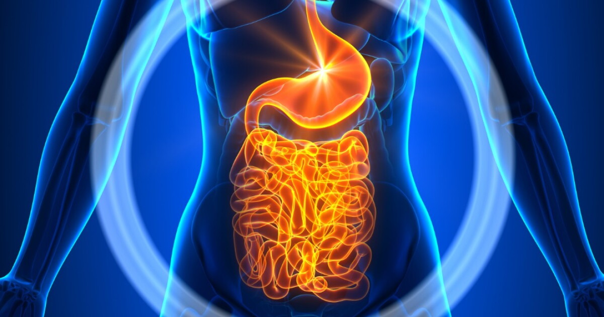 Fecal transplants for autism deliver success in clinical trials (2019)