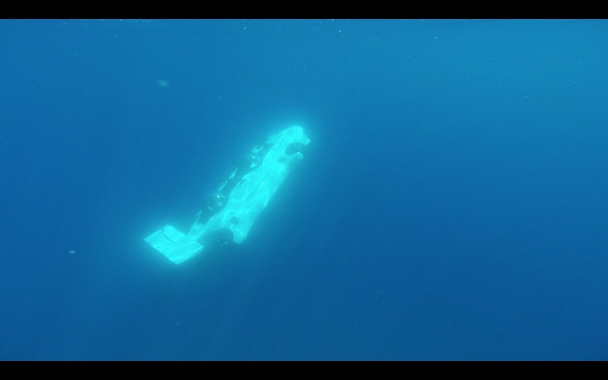 The Deepflight Dragon isn't supposed to ever sit at this angle... Pre-stabilization test shows instability