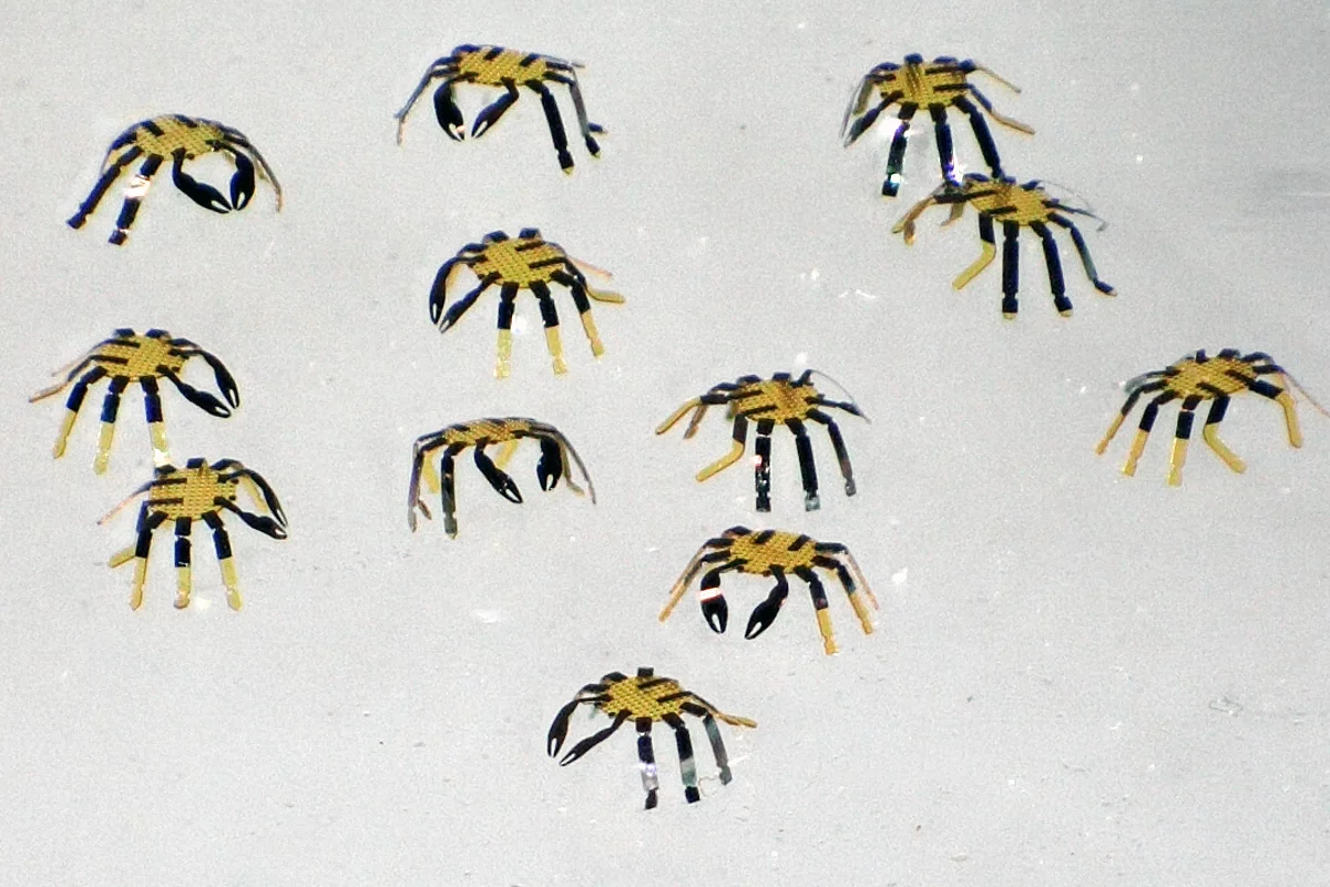 The tiny critters are manufactured using a technique inspired by children's pop-up books