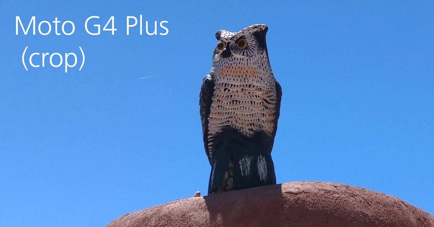 Moto G4 Plus camera sample (outdoors, brightly-lit) - cropped