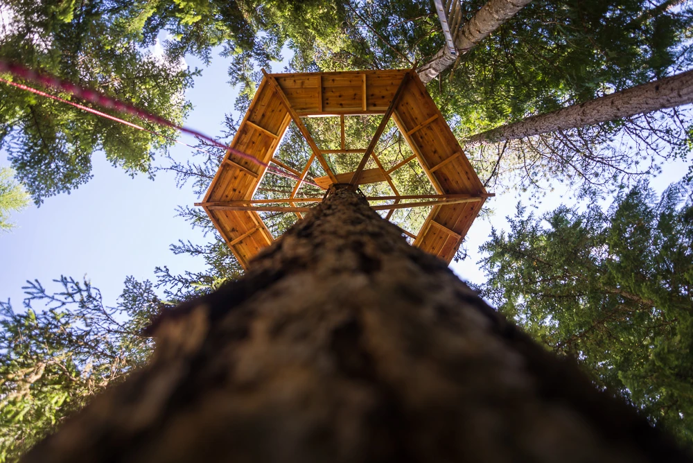 The structure is secured into place without the need to affix nails, bolts or screws into the tree (Photo: Ethan Schlussler)