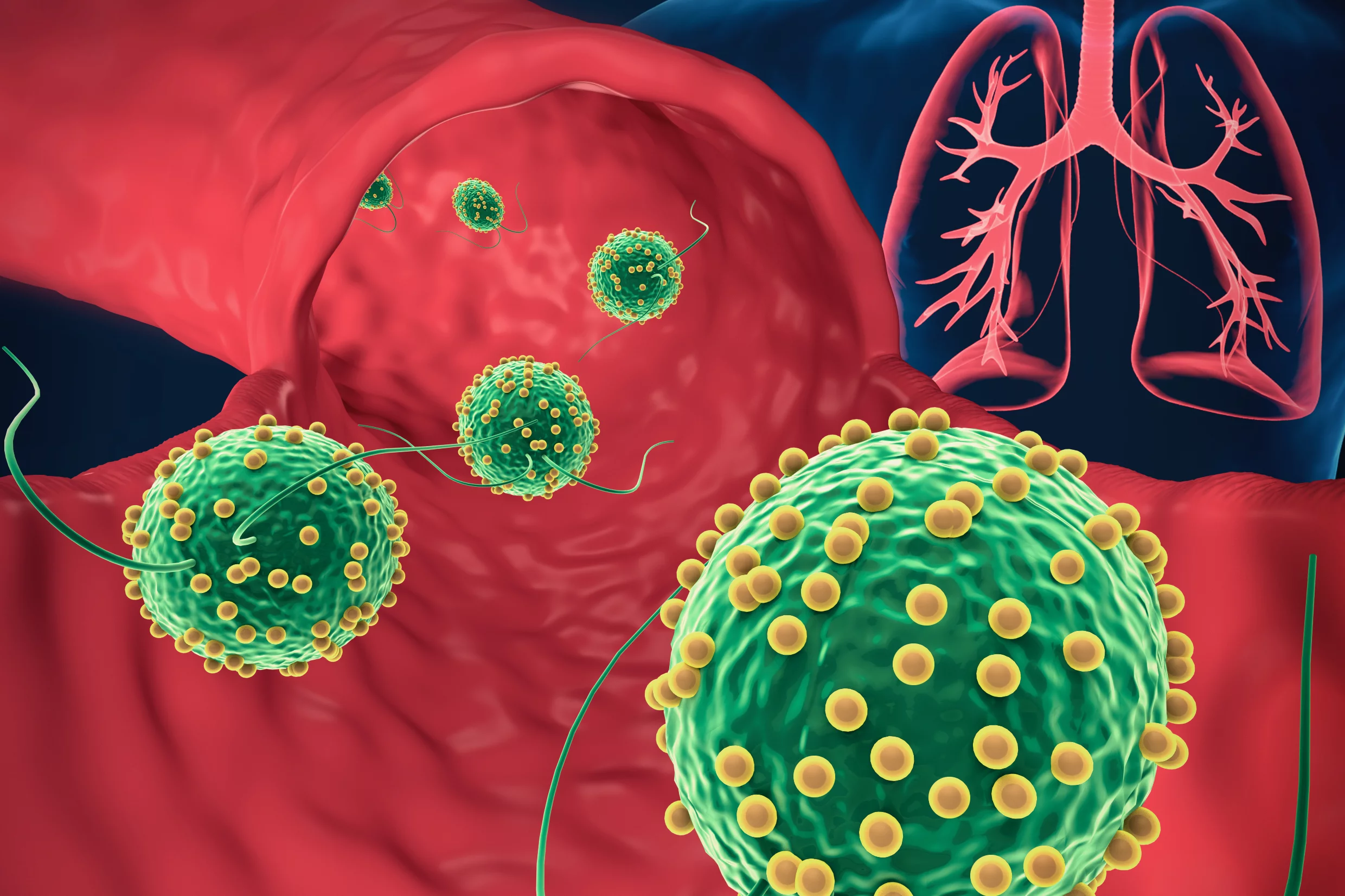 A depiction of the nanosphere-coated Chlamydomonas reinhardtii microalgae cells, making their way through the lungs