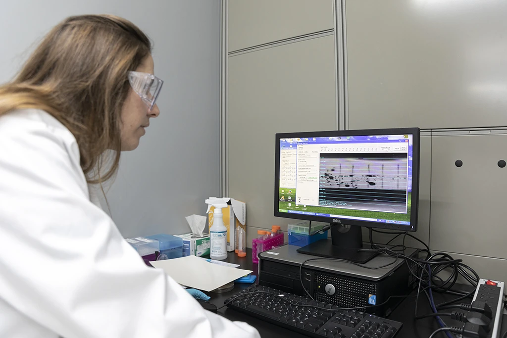 Eloise Bihar analyzes the data collected from the printed biosensors