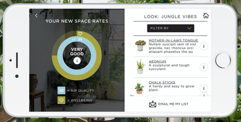 The Plant Life Balance app uses a rating system suggesting how much different plants can improve the lives of urban dwellers