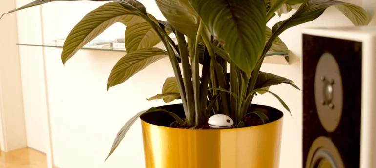 Koubachi Wi-Fi Sensor