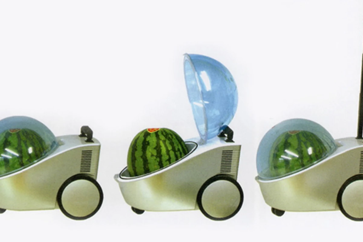 The Marugoto Tamachan portable watermelon cooler - and warmer