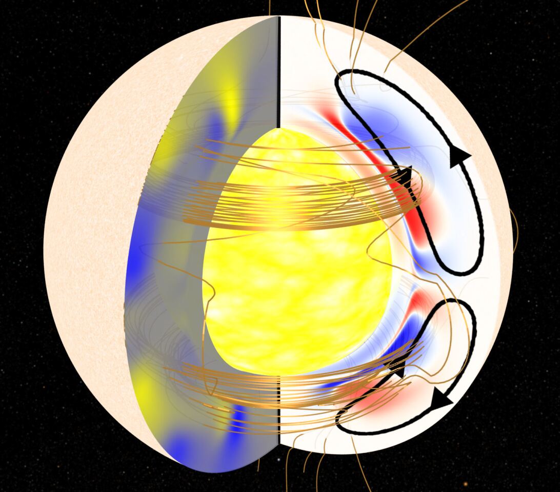 Cutaway shows plasma flows inside the sun