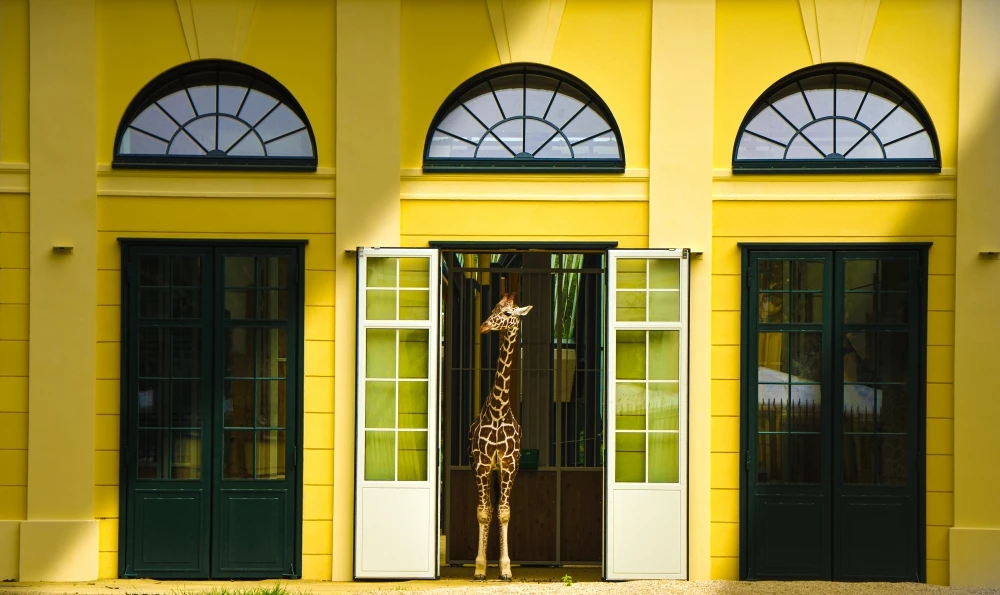 Nominee, Wildlife, Amateur. 'Venturing Beyond the Threshold', Austria