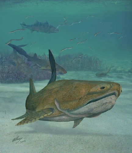 An artist's rendition of the Entelognathus primordialis