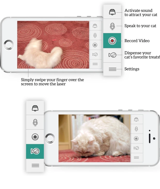 A mockup of what the cat's owner would see with the Kittyo app