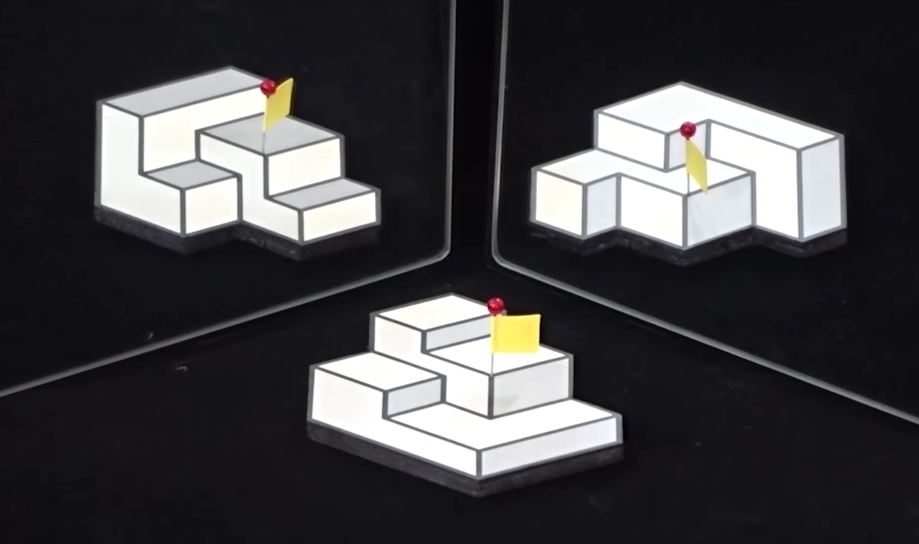 The winning entry in this year's Best Illusion of the Year Contest presents a 2D picture that has three different perceived structures depending on the viewpoint