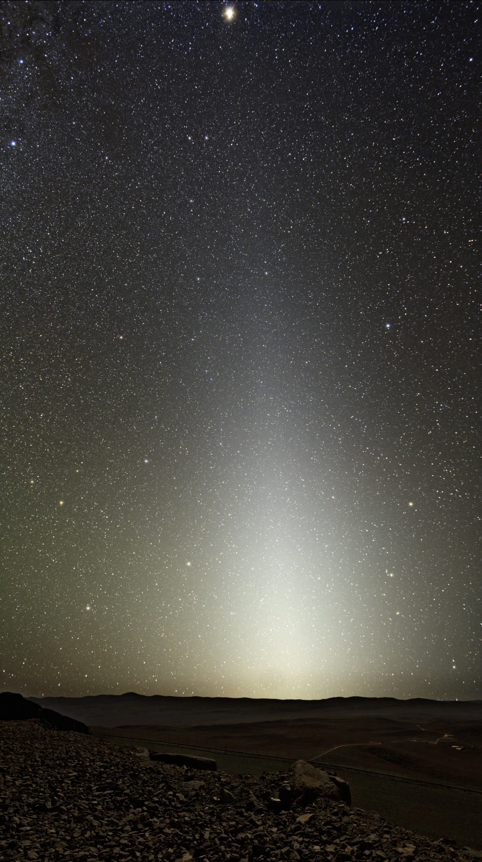 False dawn caused by solar dust