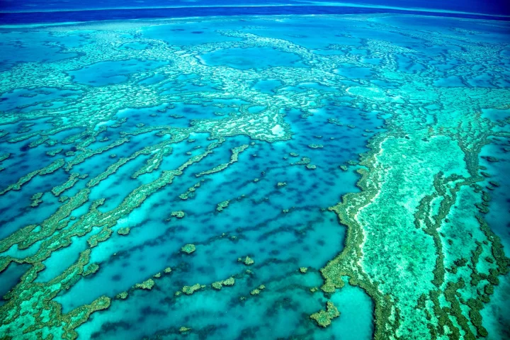 Scientists have discovered that corals on the Great Barrier Reef emit compounds that end up as aerosols above them for cooling